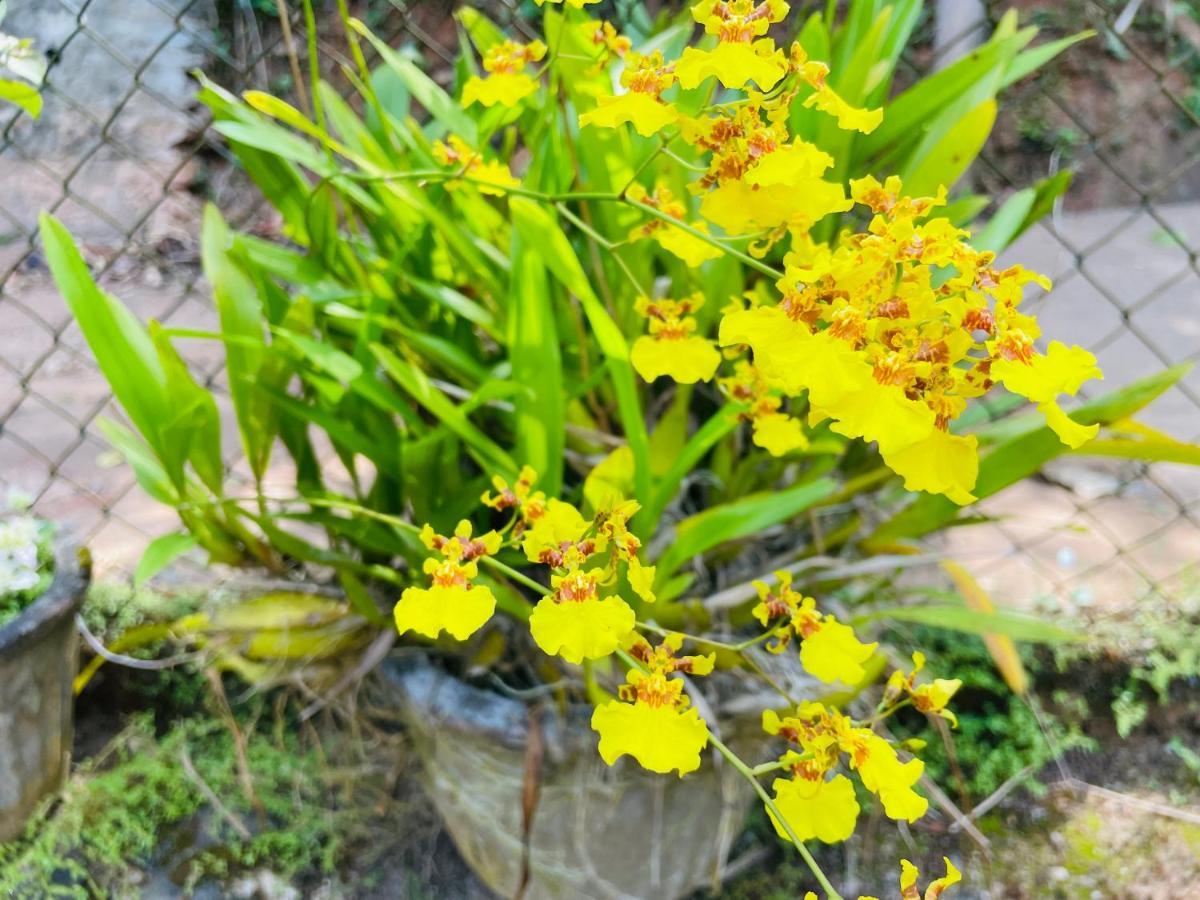 Unique Villa Kandy Luaran gambar